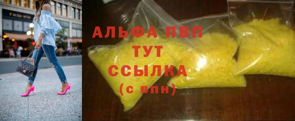 стафф Арсеньев
