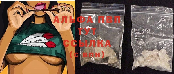 стафф Арсеньев