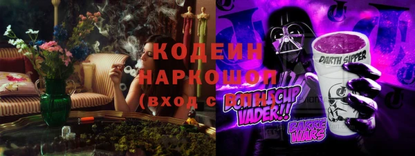стаф Вяземский